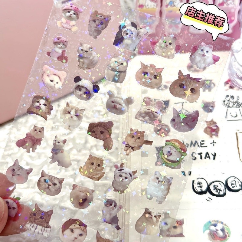 Industrial Laser Power - High-value Cat Cutting Film Sticker, Double-transparent