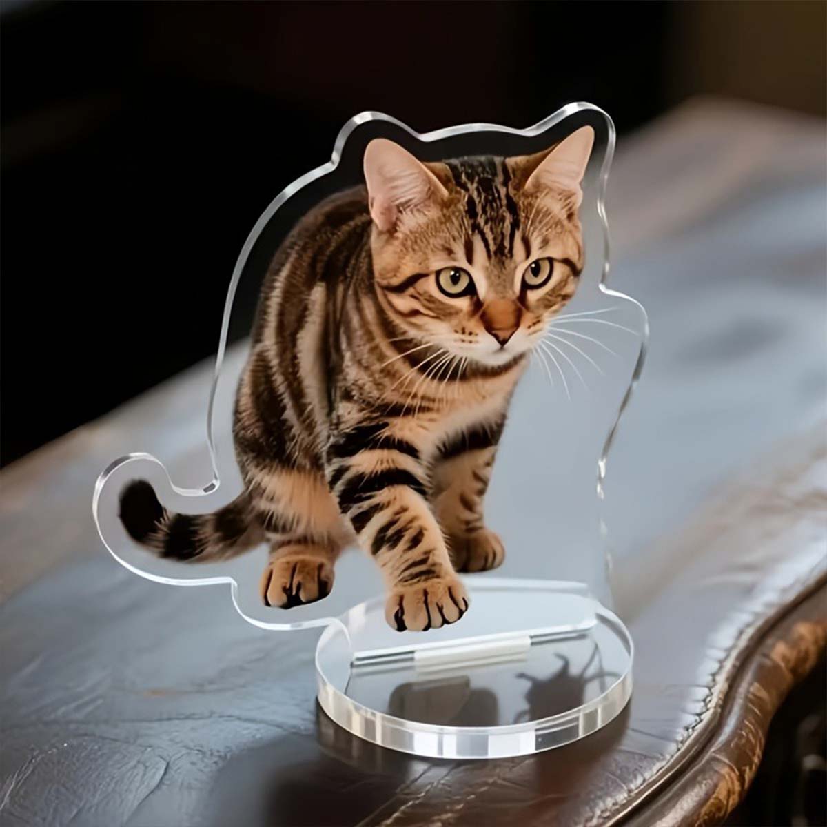 2D personalized acrylic photo  - Industrial Laser Marker incelemesi ve fiyatı