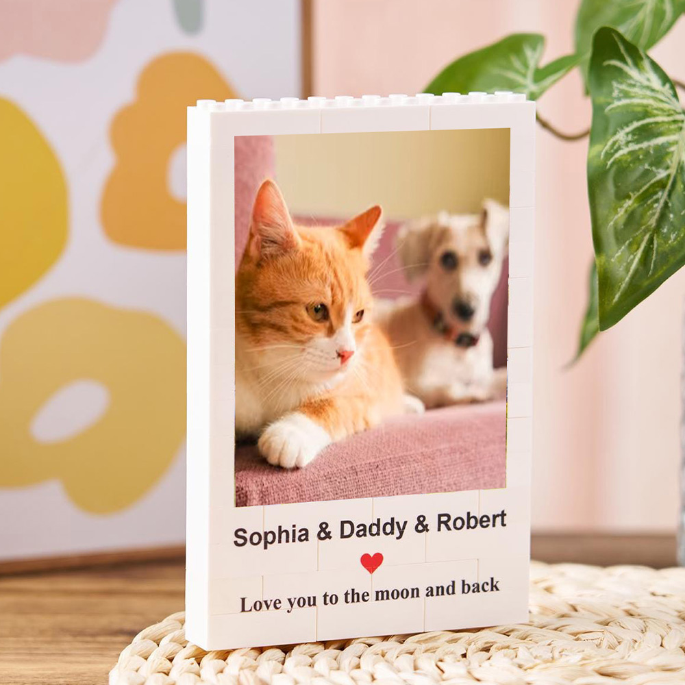 1PC Custom Pet Building Blocks - Industrial Laser Marker incelemesi ve fiyatı